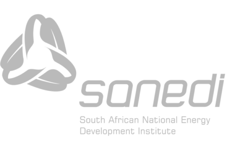 South African National Energy Development Institute (SANEDI)