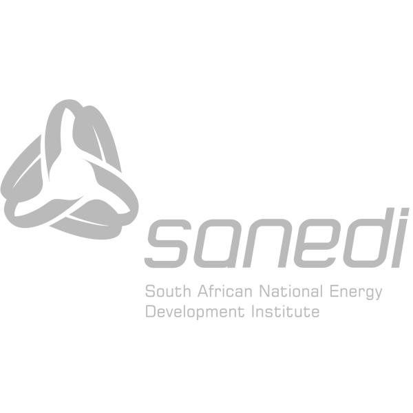 South African National Energy Development Institute (SANEDI)